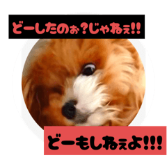 ponta_20250717133501