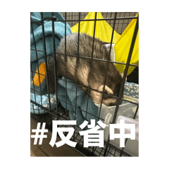 MA_20250716230315