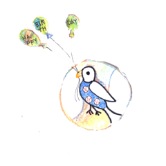 kiwi_20250717140734