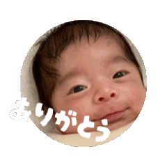 haru_20250717191631