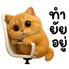 Somsom meow so cute No.2