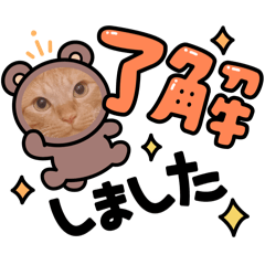 aya_20250717112408