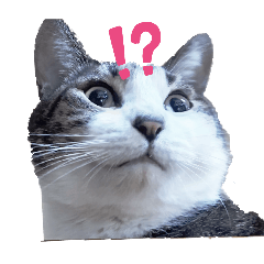 Haruka_20250717153430