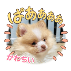 nao_20250716204921