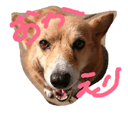 yuztanp