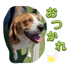 Charlie_20250716232743