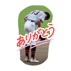 ringo_20250717163531