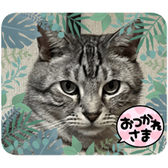 hide_20250717164044