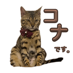 natsumi_20250717000759