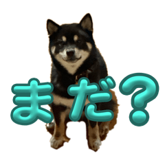 Yuka-inainu