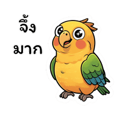 Fat sunconure