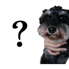 nocarlonolife_20250717023841