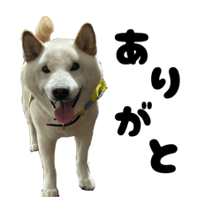 SHIZUKU_20250717020829