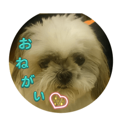 nao_20250717021407