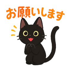 猫好き必見優しく伝える黒猫の敬語スタンプ