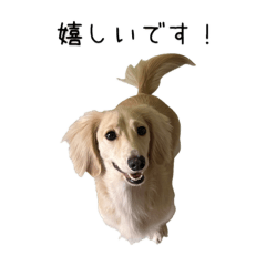 haruna_20250716220525