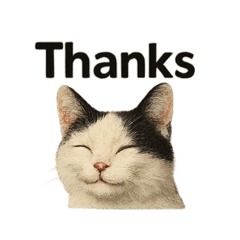 POTATO_20250717004732