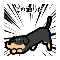 いつでも使えるダックス（黒黄）