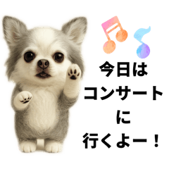 動物のシンプルスタンプ（ライブ等観戦編）