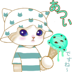 夏ネコ☆毎日ネコ