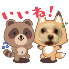 Baby_20250717205545