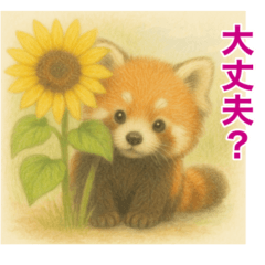 Summer Greetings from the Red Panda