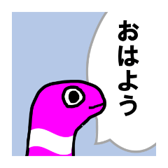 ニシキアナゴthe pink!