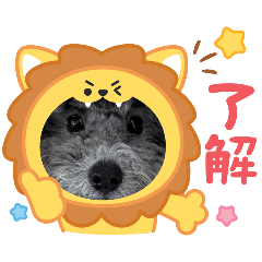 rika0515060905190203