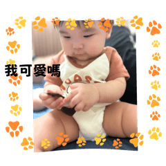 小肉包( ´▽｀)