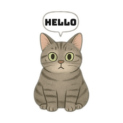 Toru funny cat