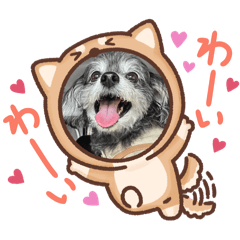 nozomi_20250717122622