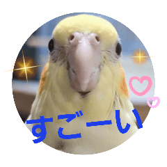 Chestnuts_20250716121740