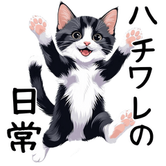 Tuxedo Cat's Daily Stickers for Chats
