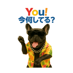 hayato_20250717125320