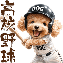がんばれ！高校球犬トイプードル