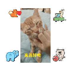 Maybe 組合（妹妹9毛&BB)