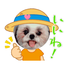 yukko_20250718141912