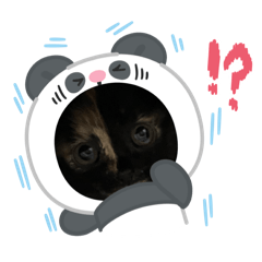 寶貝依