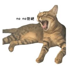 我係「錢錢aka臭腳交」