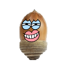 Haruka_20250718112618