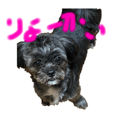 ruru_202507170801