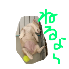 YUKI_20250717193043