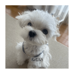 haruka_20250717214226