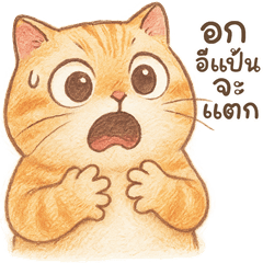 ส้มส้ม แมวน่ารัก v.cartoon