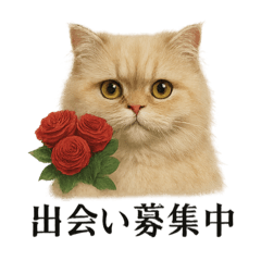 【婚活】恋するペルシャの本音スタンプ