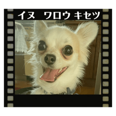 ai_20250718135839