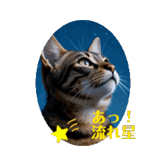 pan_20250718204752