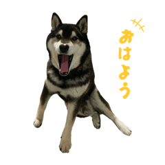 Haruka_20250717202808