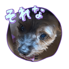 mokamokohana