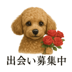 恋するトイプードルの本音スタンプ